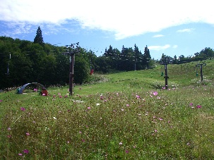 ���R�������ς�